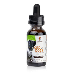 Essential CBD Extract: For Pets